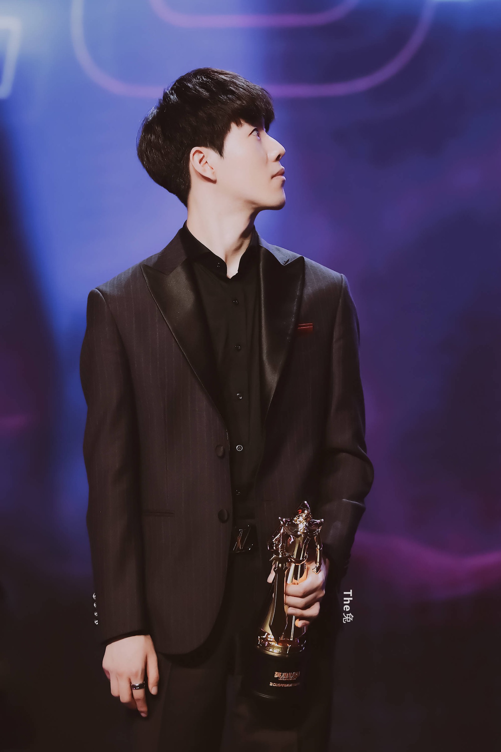 智慧和激情 智慧和激情