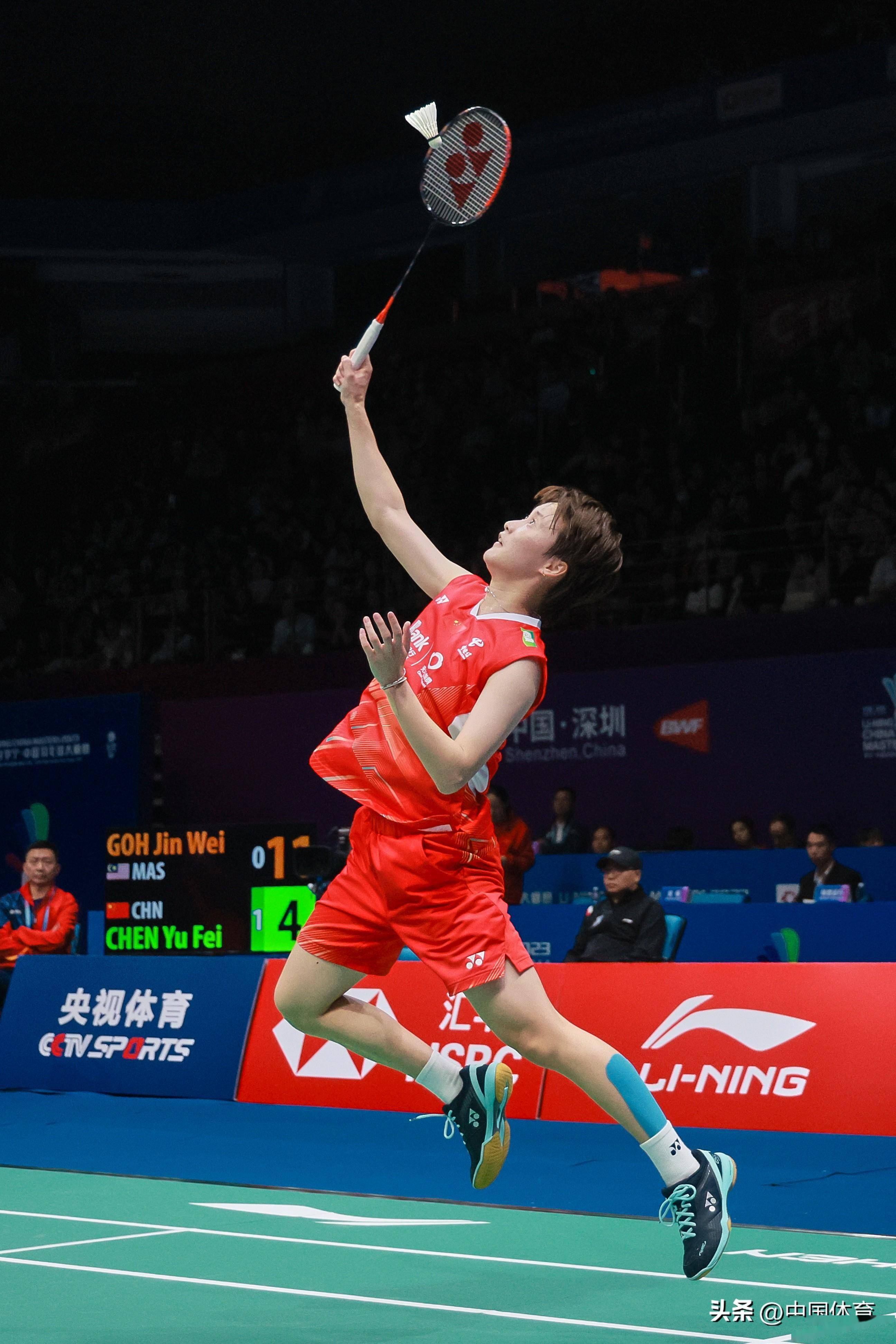 对抗的暴露 对抗的暴露